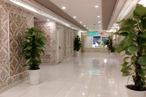  Đèn trang trí quận Tân Phú