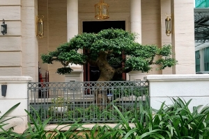   Cung cấp đèn vách ngoài trời cho biệt thự Bình Thạnh