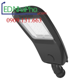 Đèn đường Rạng Đông CSD08 200
