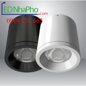 ĐÈN LED GẮN NỔI RẠNG ĐÔNG NT01/110/10