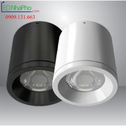 ĐÈN LED GẮN NỔI RẠNG ĐÔNG NT01/110/10